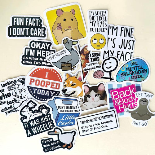 130PCS Funny Saying Sticker Pack - Snarky, Sarcastic Bold Humor Vinyl Waterproof Meme Stickers for Laptop, Computer, Water Bottle, Ipad, Phones Bumper Folding Chair Sticker Pack