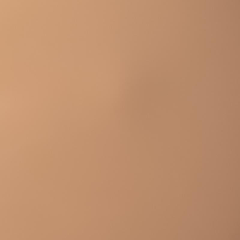 Palladio Skin Tint with Aloe, Niacinamide and Hyaluronic Acid, Sheer to Medium Coverage, Glowy Finish, Brightening and Blurring Lightweight Foundation Makeup